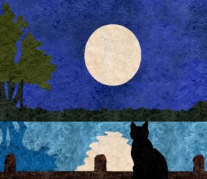 CD-F1003 Moonlight Kitty Needle Felting Kit